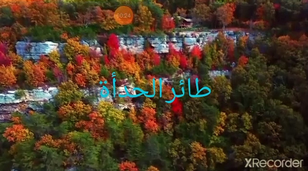 نقي قلبك طيور مؤذية تستخدم تقنية عالية في الضرر بالبيئة واشعال النيران