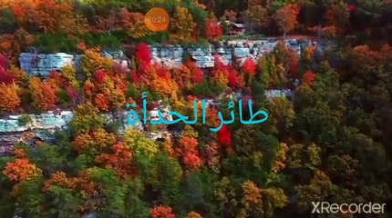 نقي قلبك طيور مؤذية تستخدم تقنية عالية في الضرر بالبيئة واشعال النيران