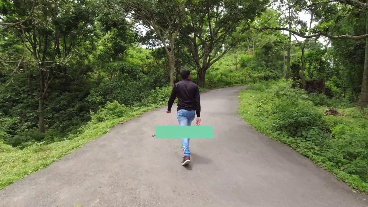 Namaste Jharna |India to Nepal|Namaste Falls|Bhedetar |The Traveller|Namaste Jharana in Lockdown|