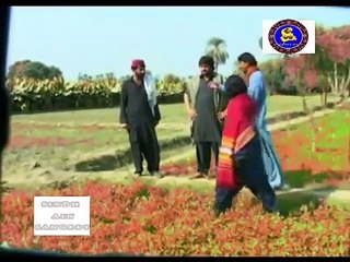 Pahinja Parawa Episode 22 | Sindhi Drama | Sindhi Soap Serial | Sindhi Soap Serial HD Dramas