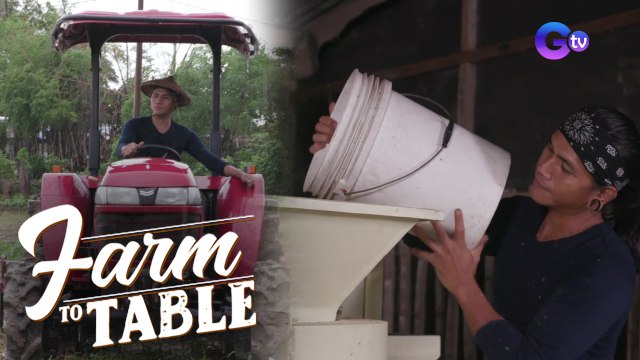 Farm To Table: Natural farming vs conventional farming