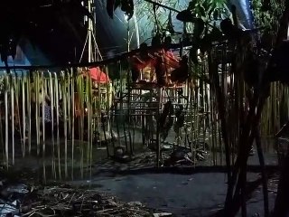 Ritual Adat Beliatn Sentiu untuk pengobatan orang sakit