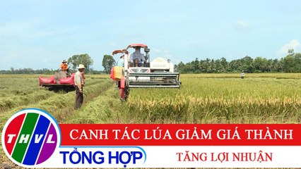 Bạn nhà nông - Kỳ 206: Canh tác lúa giảm giá thành - tăng lợi nhuận