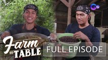 Farm To Table:  A ‘rice is life’ kind of food trip at Pulilan, Bulacan | Full Episode