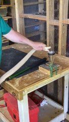 extracting poison from snakes