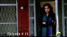 Jo Chale To Jaan Se Guzar Gaye  | EPISODE 11  ( Pakistani drama serial )