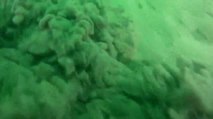 Müsilaj denizin dibinde böyle görüntülendi: Siyah bir çamura dönüşüyor
