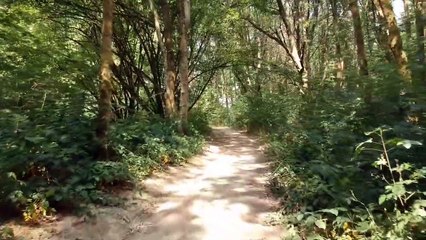 A Peaceful way of happiness