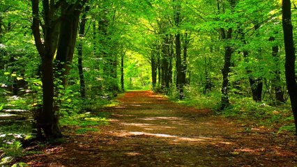 Endless journey of relaxation