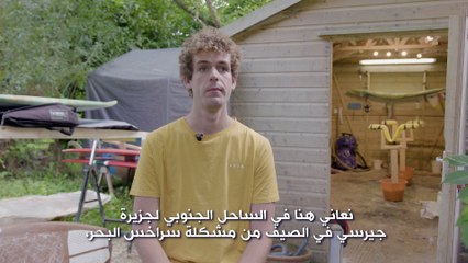 أبطال بيئيون: ألواح ركوب أمواج من الأعشاب البحرية