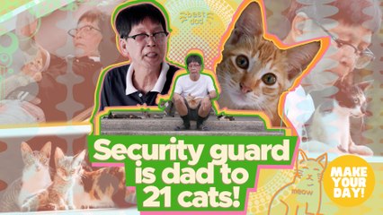 Security guard is dad to 21 cats! | Make Your Day
