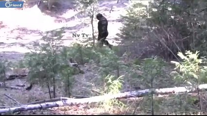 ظهور كائن ضخم في ولاية أمريكية