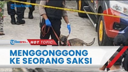 Anjing Pelacak Menggonggong ke Seorang Saksi saat Olah TKP Pembunuhan Subang, Ini Kata Kuasa Hukum
