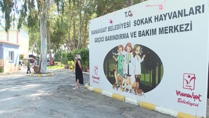 Orman yangınlarında yaralanan hayvanlar hem şifaya hem de yeni sahiplerine kavuştu