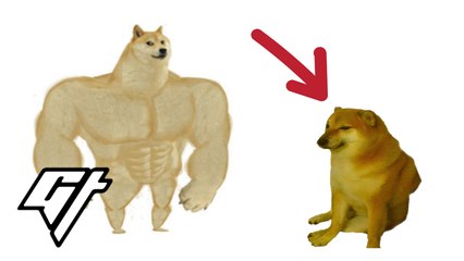 We Met Doge Influencer Cheems!