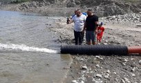 Sinop'ta rekor balıklandırma: 1 milyon 150 bin yavru sazan baraj, göl ve göletlere bırakıldı