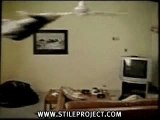 Funny Videos - Cat In Ceiling Fan