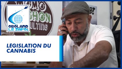 Légalisation du cannabis - Groland - CANAL+