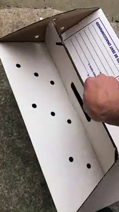 Sparrowhawk returned to wild after getting trapped in St Annes hotel