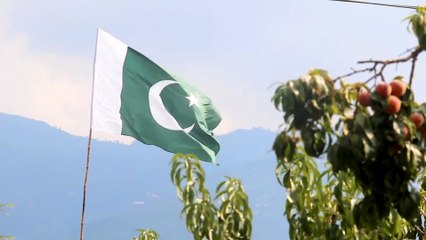 Pakistan inducted Submarine hunter sea sultan to counter India Navy