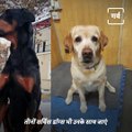 Know-How Indian Army Trains Its Service Dogs