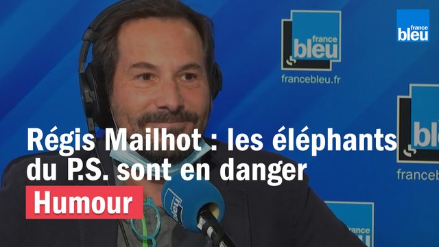 Régis Mailhot : sauvons les espèces menacées, comme les éléphants du P.S.