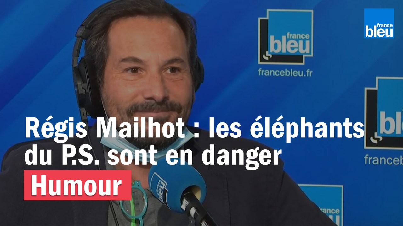 Régis Mailhot : sauvons les espèces menacées, comme les éléphants du P.S.