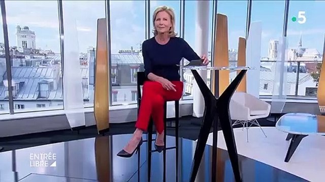 L'auteur de bande dessinée à succès Riad Sattouf au service de la langue française - VIDEO