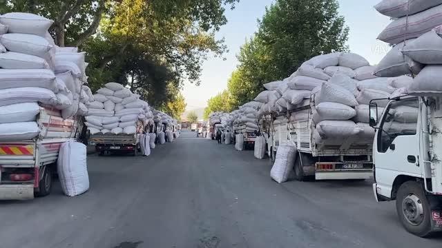 KAHRAMANMARAŞ - Maraş biberi mezatla satışa çıktı