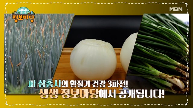 생생 정보마당 [942회]