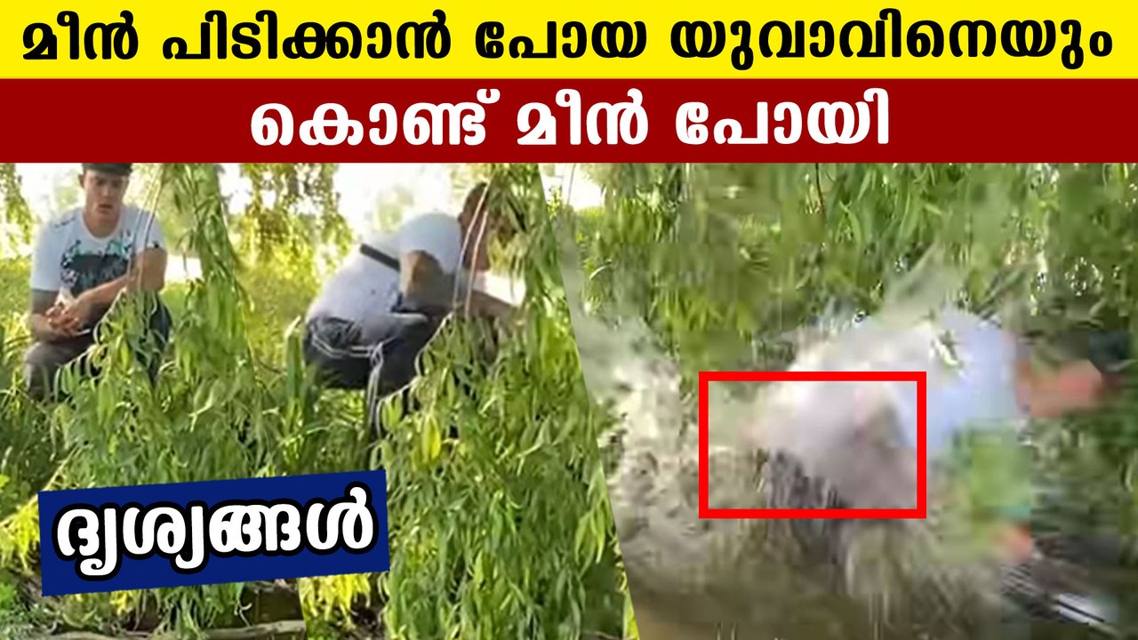Fisherman dragged by huge fish, video goes viral | Oneindia Malayalam