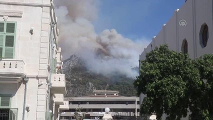 Son dakika haberi! Amanos Dağları'nda çıkan orman yangınına müdahale ediliyor