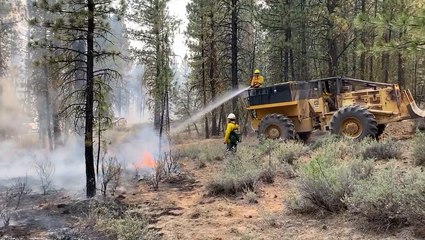 The different types of wildland firefighters