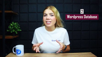 How to Speed Up Your WordPress Site - Tips for Web Acceleration - Dopinger