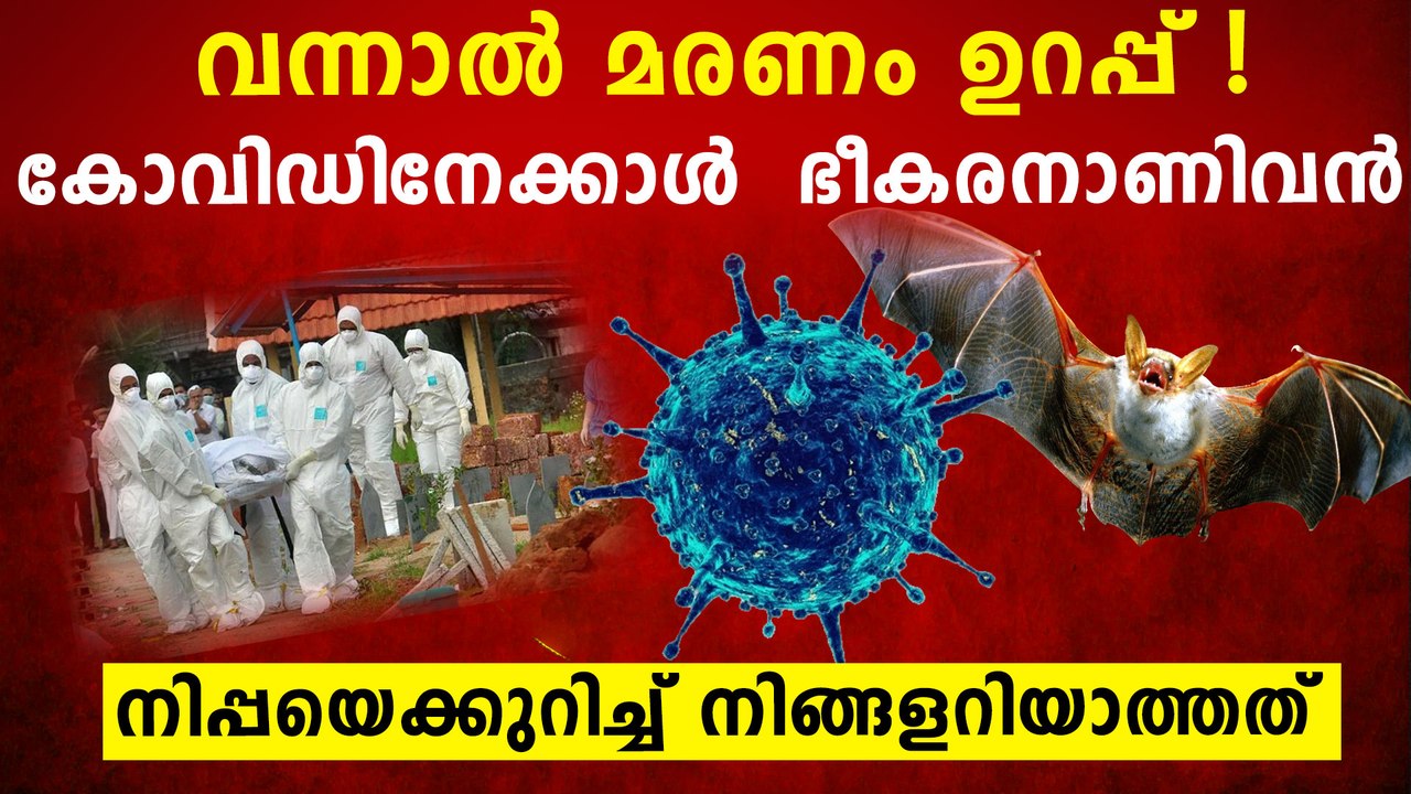 How Nipah virus is varies from corona ?  | Oneindia Malayalam