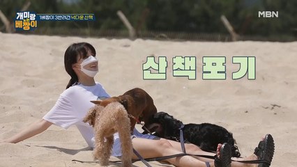 개판(?!)이네 ㅋㅋㅋ 민아 베짱이 넉다운시킨 반려견들♨♨