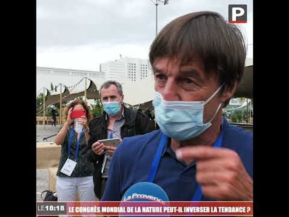Le 18:18 - Biodiversité : le Congrès mondial de la nature peut-il inverser la tendance ?