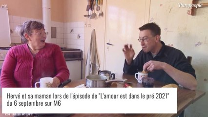 Hervé (L'amour est dans le pré 2021) : Piques en série entre Vanessa et Stéphanie