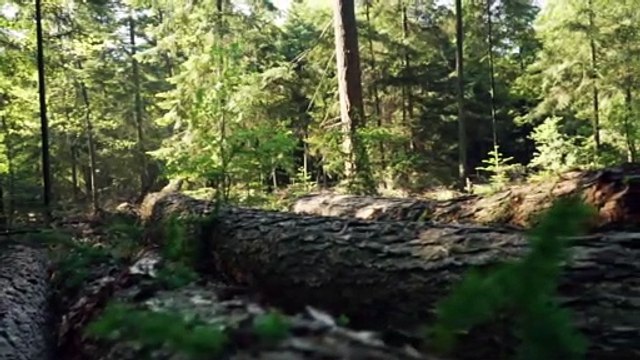 2 Minute Piano Music- Instrumental Background Music Relaxing Piano Music