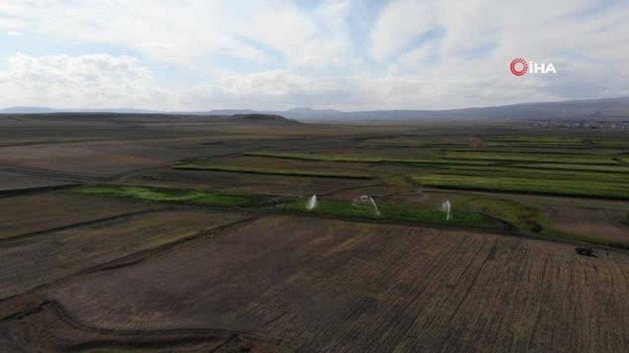 Kars'ta çiftçiler silajlık mısır ekimine yöneldi