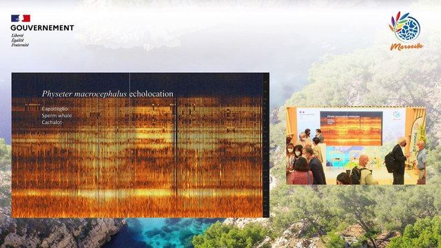 IUCN | Replay de l'Auditorium du Pavillon France - Dimanche 05/09 - 1ère partie de journée