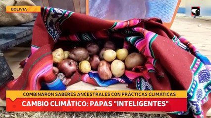 cambio climático papas inteligentes