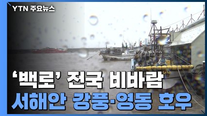 [날씨] 오늘 '백로' 전국 비바람...서해안 강풍·영동 호우 / YTN