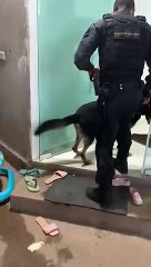Em operação, Polícia Civil prende dono de boca de fumo em Ceilândia