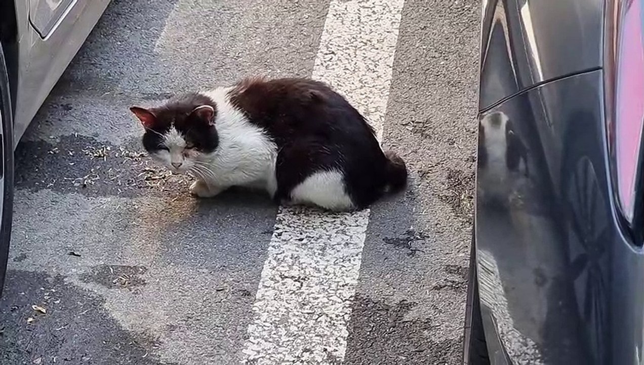 隠れん坊