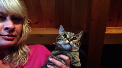 This Talking Cat is Hilarious | Funny Pet Videos