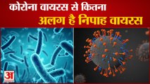 How Nipah Virus Is Different From Covid-19 | जानिए क्या हैं इसके लक्षण, क्या है इसका इलाज