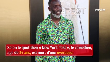 L’acteur américain Michael K. Williams a été retrouvé mort