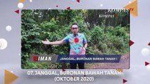 1 Dekade Kompas TV: 10 Video Terviral Aiman, dari Dimas Kanjeng ke Tri Risma Harini