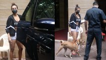Malaika Arora spotted with her Dog at her Residence in  Bandra | FilmiBeat